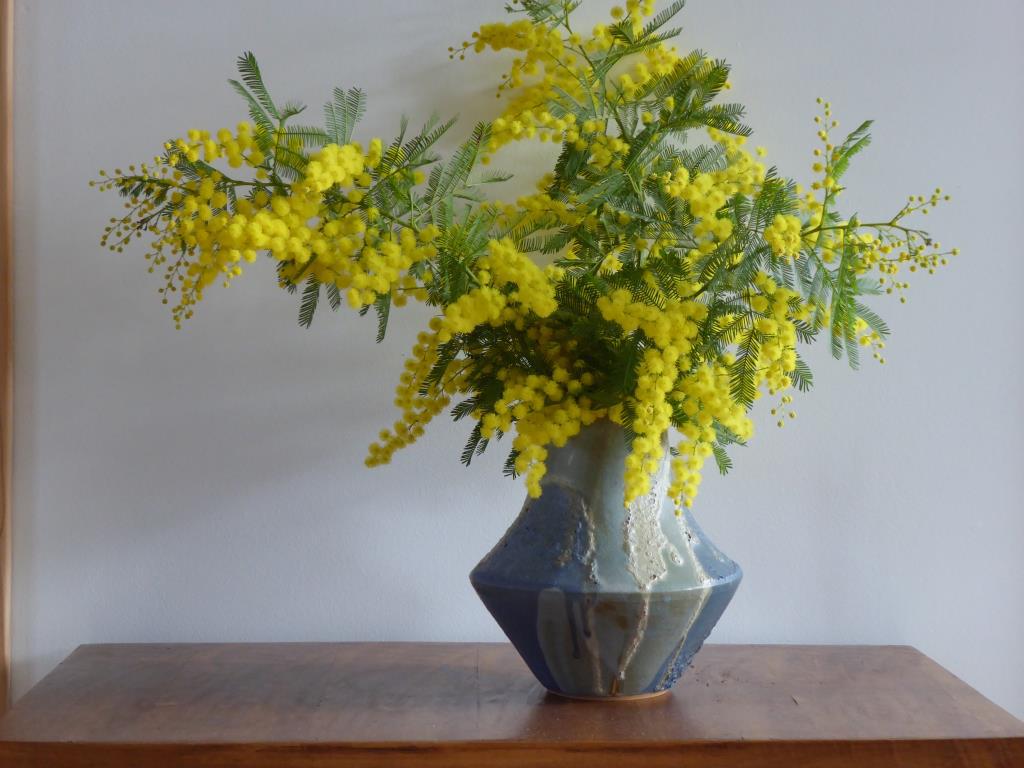 Modèle vase et mimosa